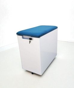 CAISSON AVEC COUSSIN D'ASSISE BLEU